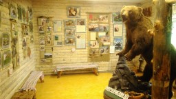 Музей медведя «Топтыгин и Топтыжка»