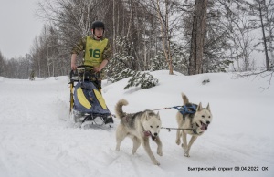 Закрытие сезона по ездовому спорту (снежные дисциплины) в Быстринском муниципальном районе